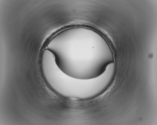 X0000090700973200708101438
