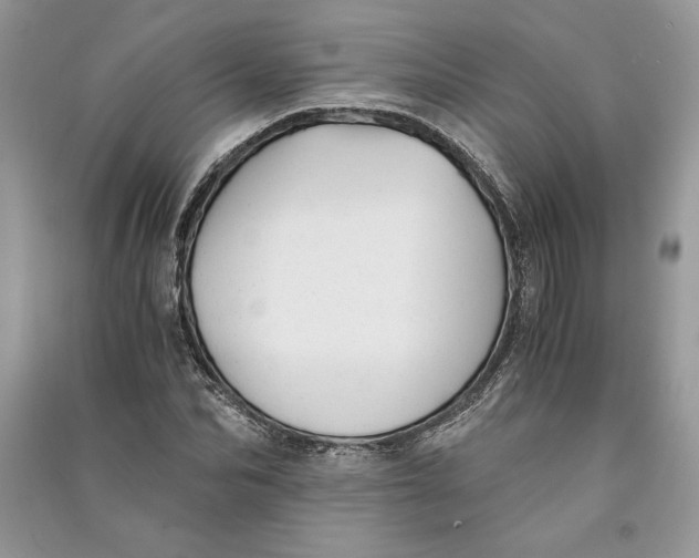 X0000090700974200708101438