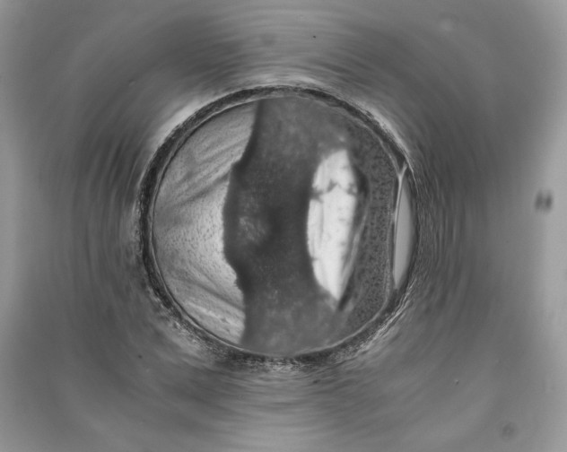 X0000090700975200708101438