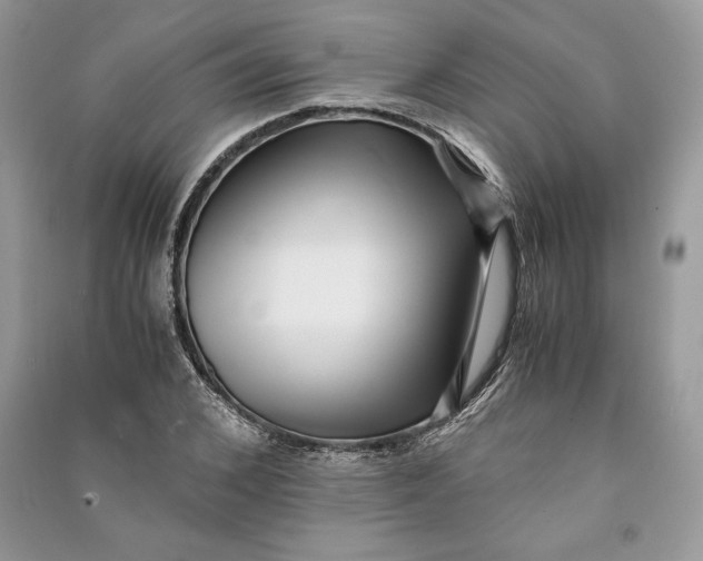 X0000090700976200708101438