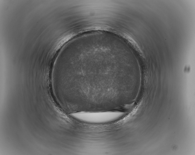 X0000090700977200708101438