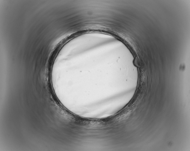 X0000090700979200708101438