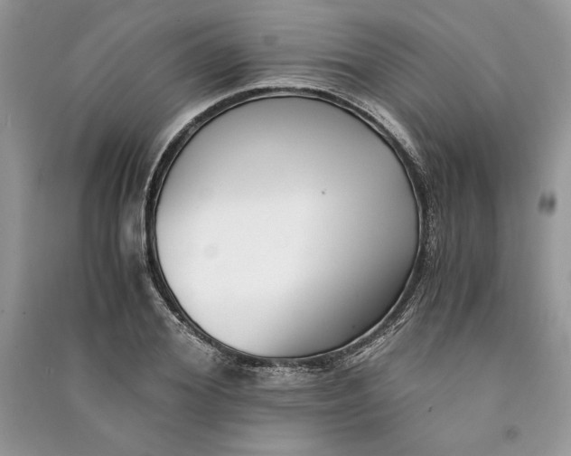 X0000090700980200708101438