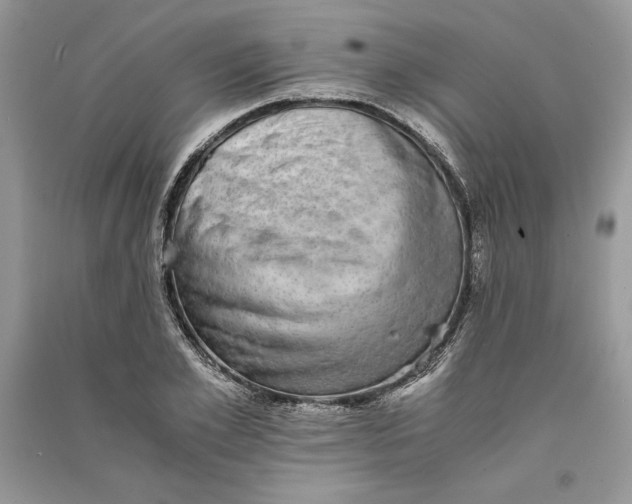 X0000090700981200708101438