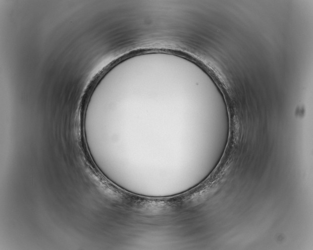 X0000090700982200708101438