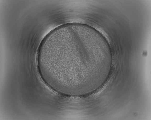 X0000090700983200708101438