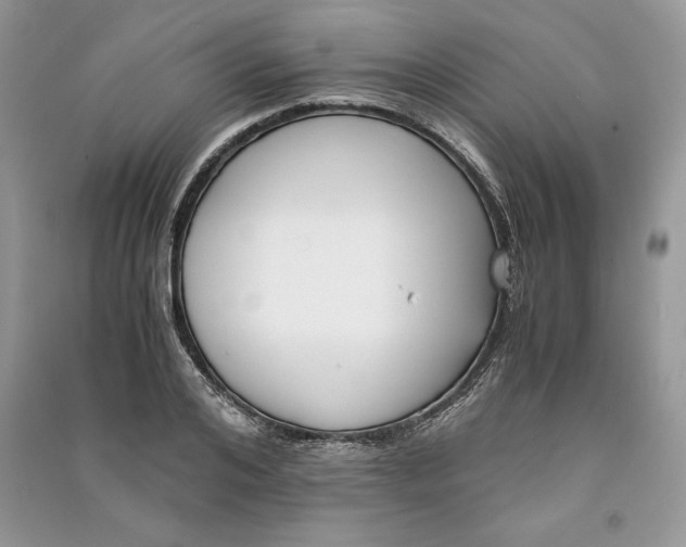 X0000090700984200708101438