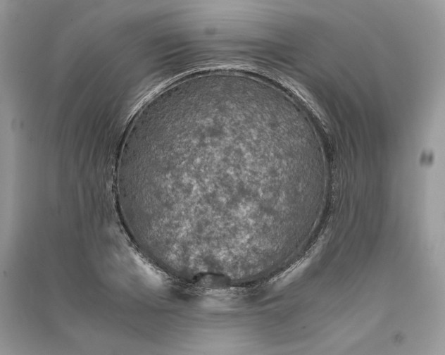 X0000090700985200708101438