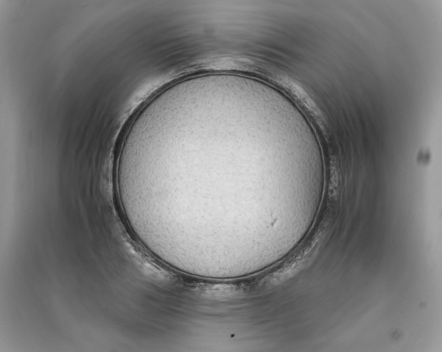 X0000090700986200708101438