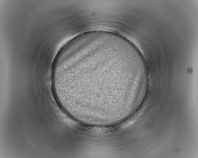 X0000090700987200708101438