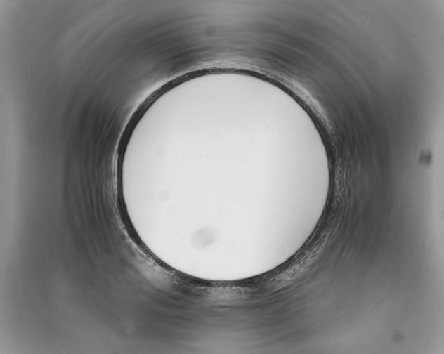 X0000090700988200708101438