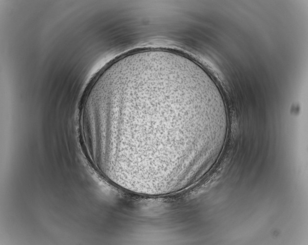 X0000090700990200708101438