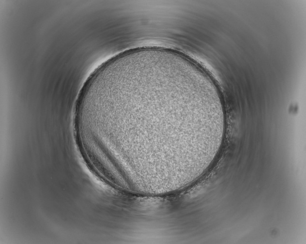 X0000090700991200708101438