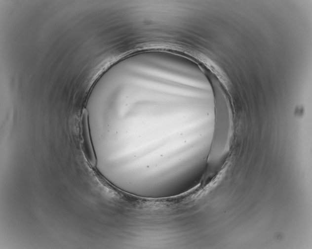 X0000090700993200708101438