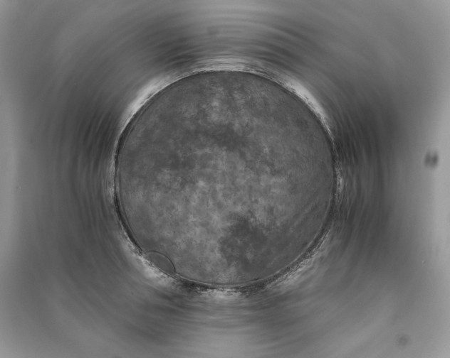 X0000090700994200708101438