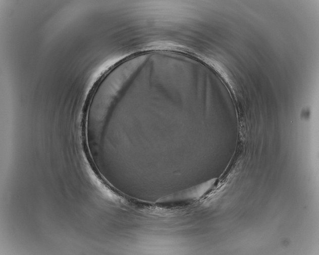 X0000090700995200708101438