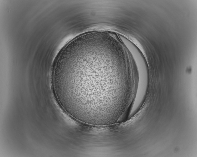 X0000090700997200708101438