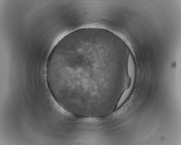 X0000090700998200708101438