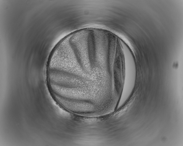 X0000090700999200708101438