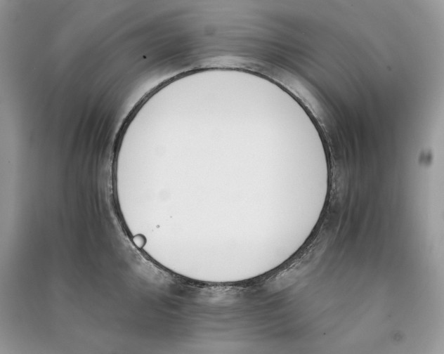X0000090701000200708101438