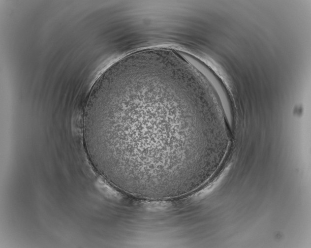 X0000090701001200708101438