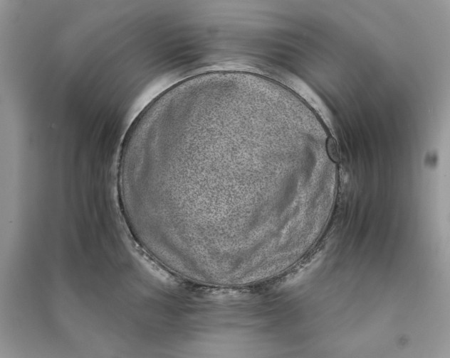 X0000090701002200708101437