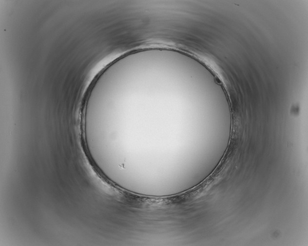 X0000090701003200708101437
