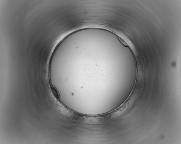 X0000090701004200708101437