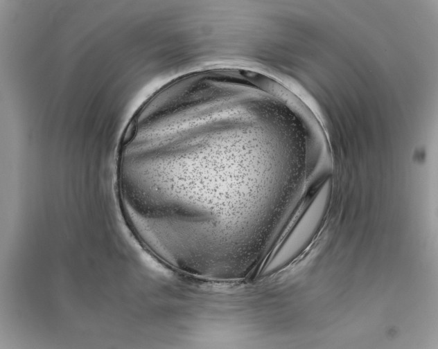 X0000090701005200708101437