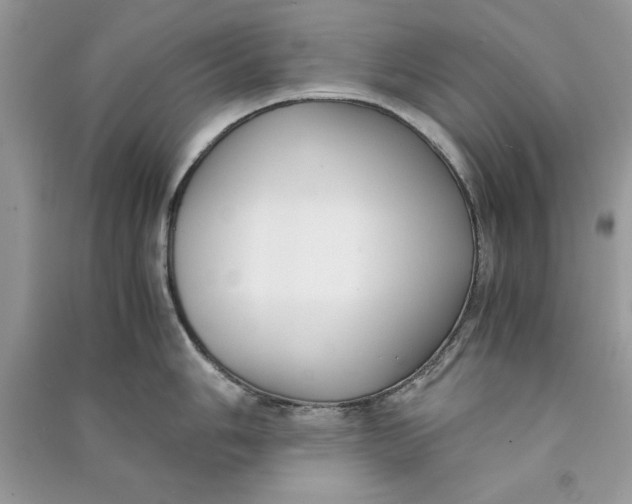 X0000090701006200708101437