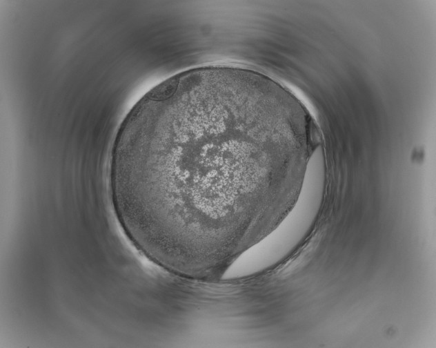 X0000090701007200708101437