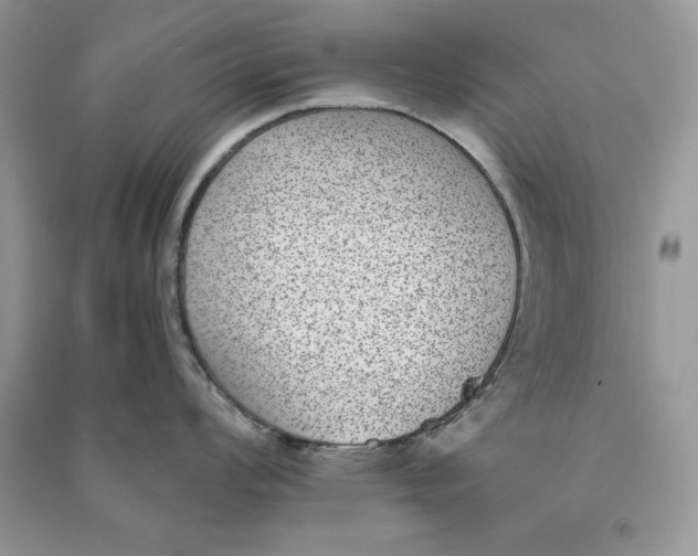 X0000090701008200708101437