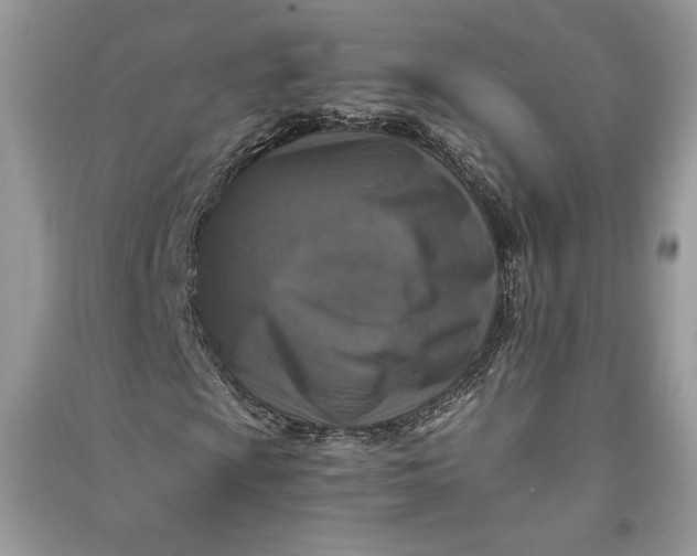 X0000090701009200708101437