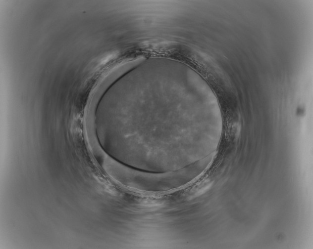 X0000090701010200708101437