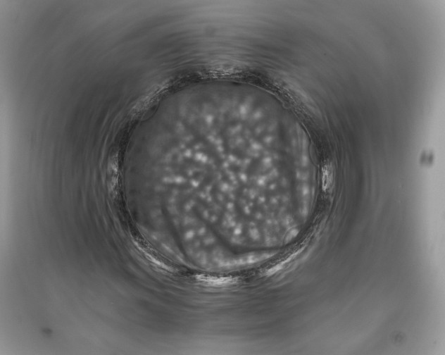 X0000090701011200708101437