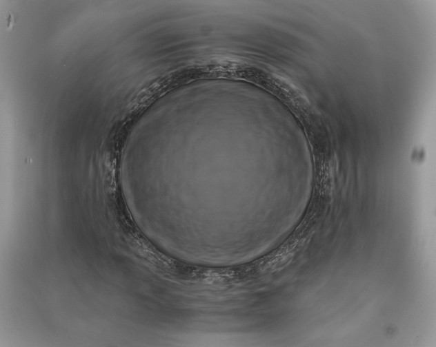 X0000090701013200708101437