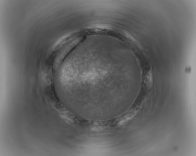 X0000090701014200708101437