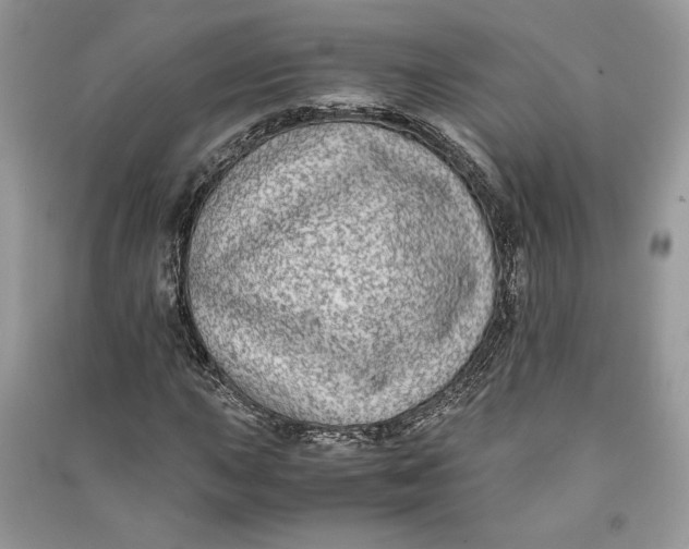 X0000090701015200708101437