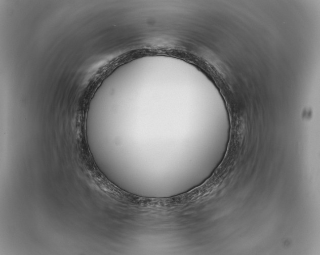X0000090701016200708101437