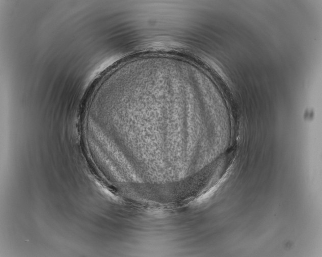 X0000090701018200708101437