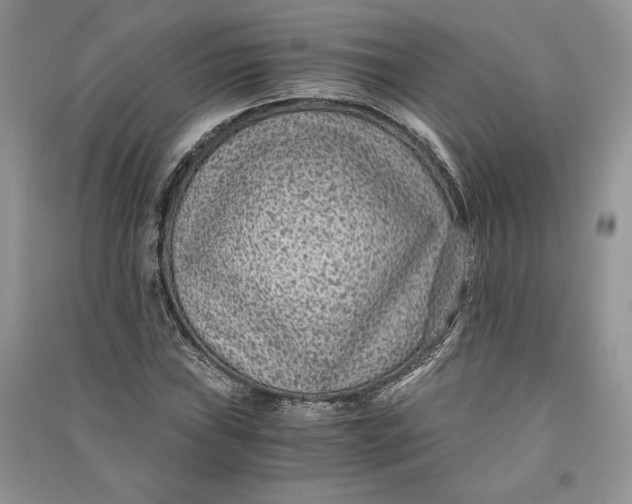 X0000090701019200708101437