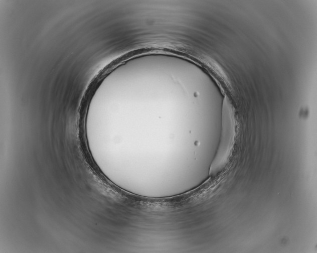 X0000090701020200708101437