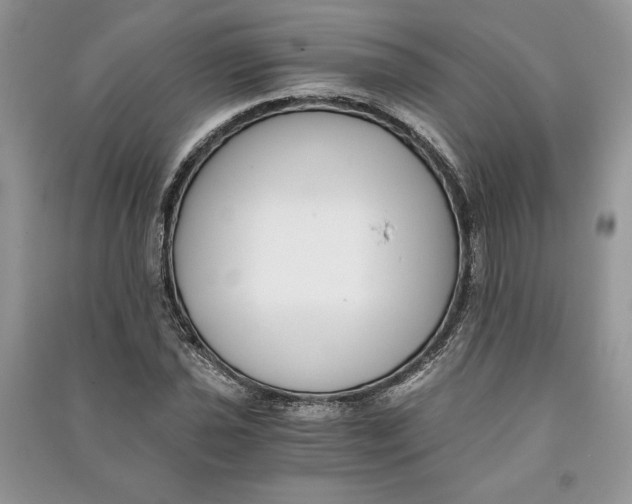 X0000090701021200708101437