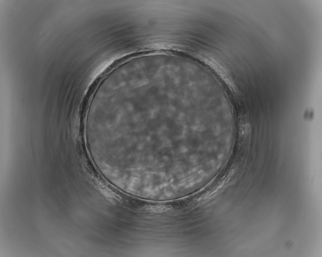 X0000090701023200708101437