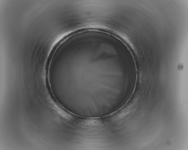 X0000090701024200708101437
