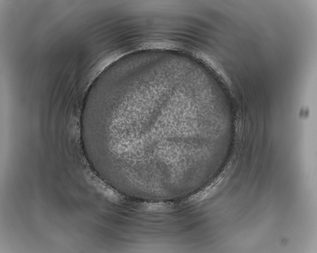 X0000090701025200708101437