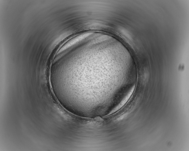 X0000090701026200708101437