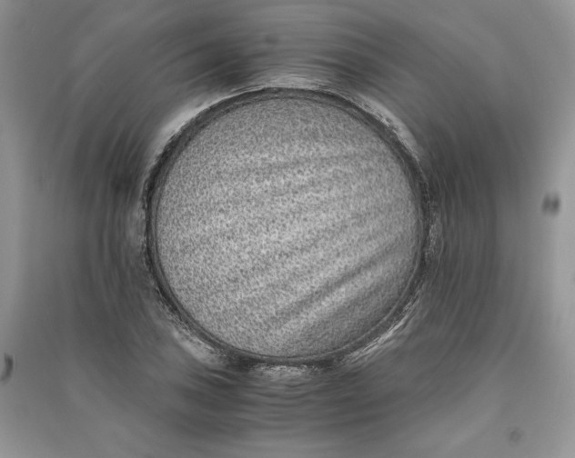 X0000090701027200708101437