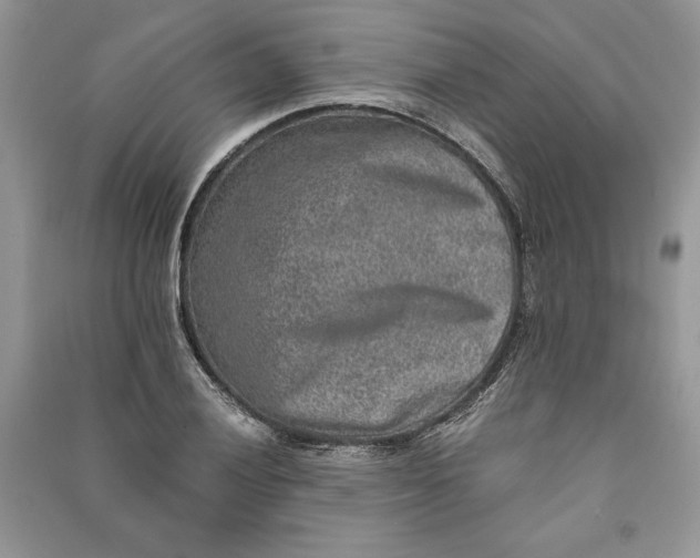 X0000090701028200708101437