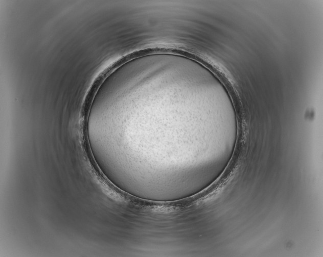 X0000090701029200708101437